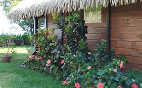 Bungalow Bord De Mer